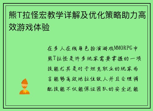 熊T拉怪宏教学详解及优化策略助力高效游戏体验